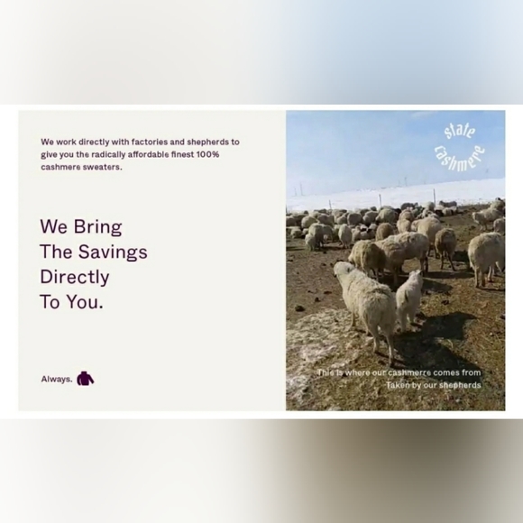 🌟SEE NEW LISTING🌟 🐪 "The State" Cashmere Hoodie in Camel - Picture 8 of 12